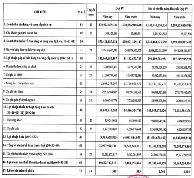 Việt Phát (VPG): Quý 4 lãi 61 tỷ đồng, cao gấp 4 lần cùng kỳ - Ảnh 2.